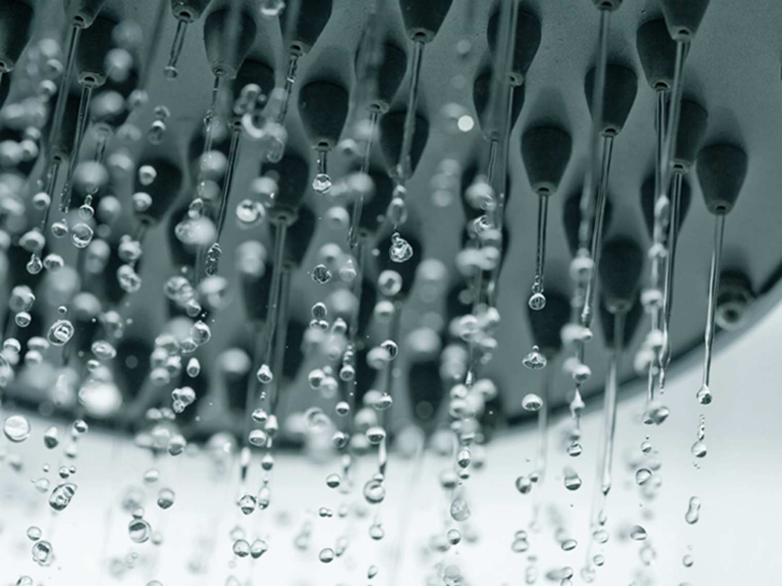 Image of a shower head spraying out water.
