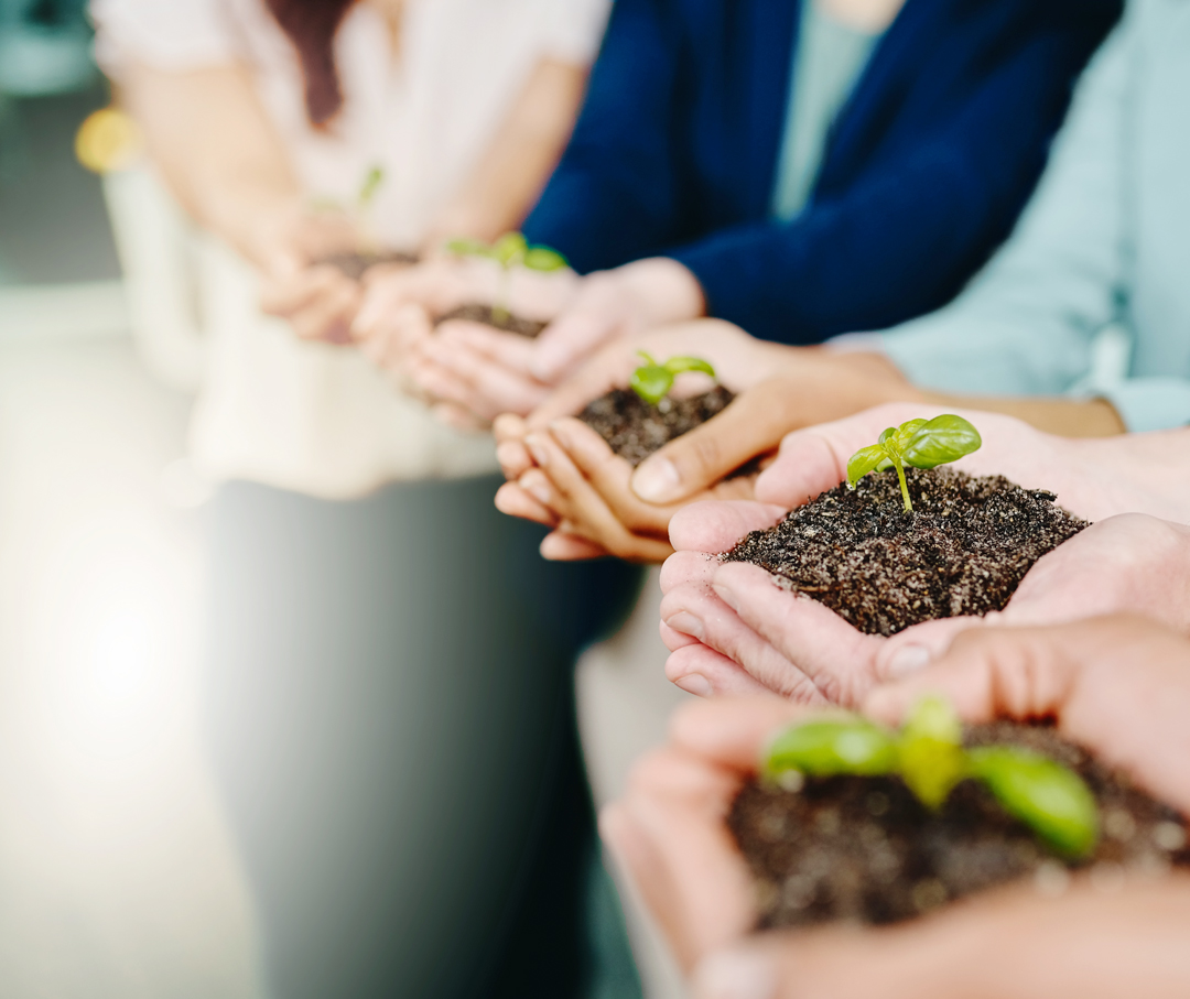 An image of several people holding soil and a plant in their hands.